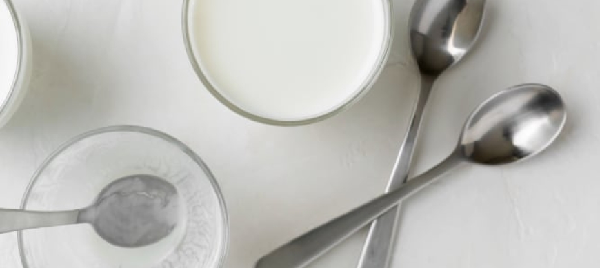Yogur natural con Thermomix® TM31/TM5
