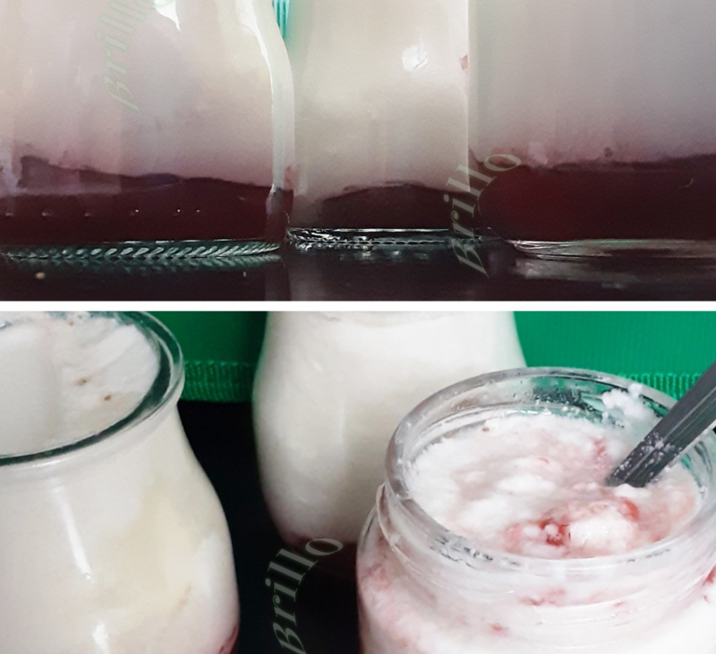 III Yogurt de fresas
