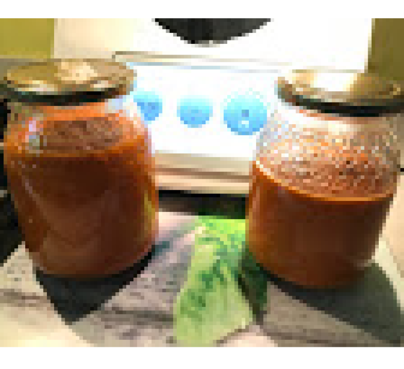 SALSA DE PIMIENTOS ROJOS (DIETA DISOCIADA)