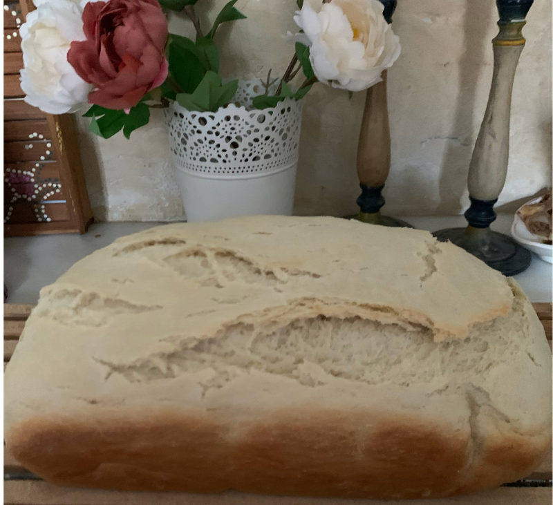 PAN DE MOLDE
