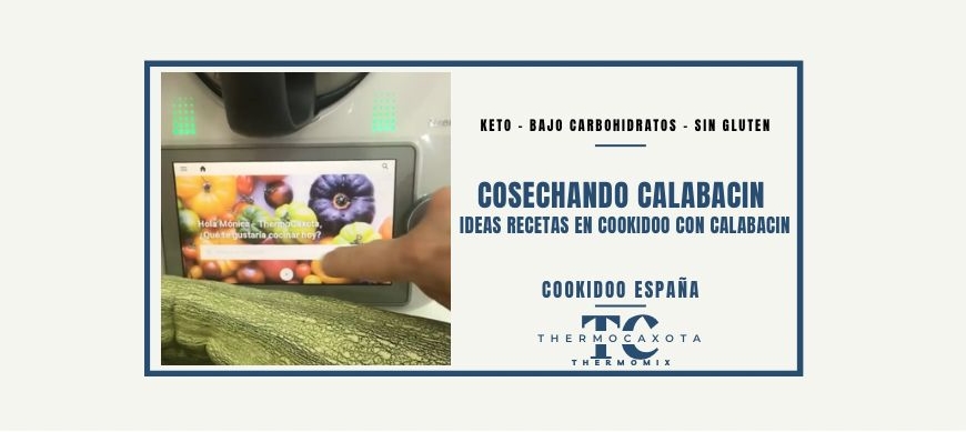 COSECHANDO CALABACÍN- Ideas Recetas en Cookidoo con calabacín - Keto/LowCarb/SinGluten