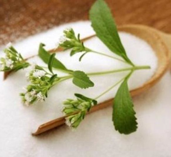 Cómo reemplazar el azúcar por stevia
