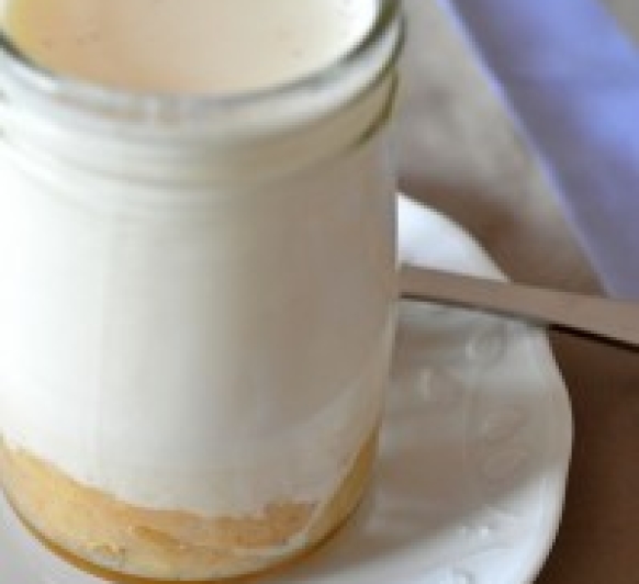 Mermelada de ciruela, y yogur Thermomix® , bienestar intestinal